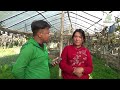 ४० ५० लाख घाटा भयो फार्ममा vegetable farming in nepal tarkari kheti