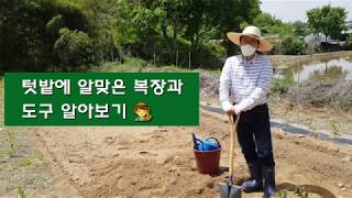 텃밭 수업 | 텃밭에 알맞은 복장과 도구 소개 | 특수학교 온라인 수업 자료 | 특수교사 순해샘 / 기본교육과정 통합교과 봄