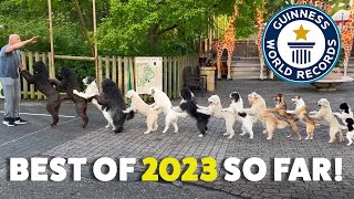 BEST RECORDS of 2023 so far! | Guinness World Records