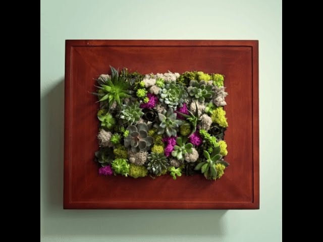 Using Picture Frame Succulent Vertical Garden