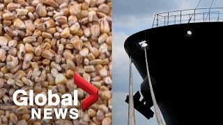 Russia-Ukraine conflict: Turkey ready to facilitate UN plan to reopen grain export shipping routes