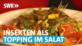 Heuschrecken, Mehlwürmer & Co. in der Salatbar – Kommt das gut an? | SWR Aktuell