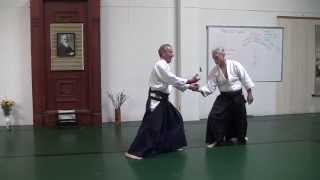 Aikido Shihan Nadeau: Balance / Left Right Masculine Feminine