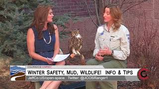JeffCo Open Space and Winter Trails - November 27, 2017