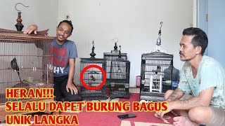 HERAN!! SELALU PUNYA BURUNG BAGUS, UNIK, LANGKA