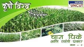 Krishi vishwa (चारा पिके आणि त्यांचे प्रकार  भाग - २)