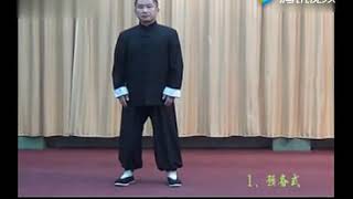 传统杨氏太极拳85式