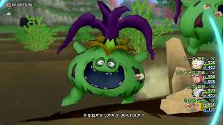 ドラクエ10　 天地雷鳴士 げんまLv.120解放クエスト 【 dragonquest 10 】