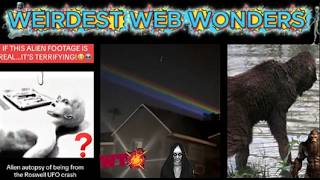 weirdest web wonders vol 69