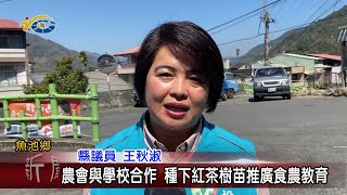 20230306 南投縣議會 民議新聞 農會與學校合作 種下紅茶樹苗推廣食農教育(縣議員 王秋淑)