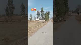 My beautiful village video#trending Sound viral short video