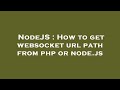 NodeJS : How to get websocket url path from php or node.js