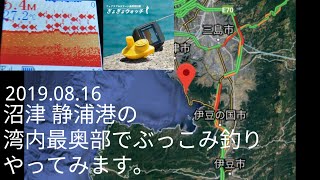 沼津市の静浦港湾内最奥でぶっこみ釣り(2019.08.16)ぎょぎょウォッチ調査