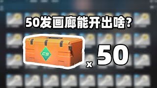 【CS2开箱】50发画廊新箱子能出啥？？！崭新暗金蒸汽波a1？