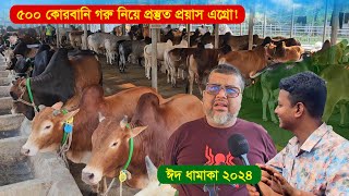 2024 কোরবানি ছোট মাঝারি ৫০০ গরু নিয়ে প্রস্তুত প্রয়াস এগ্রো || ছোট গরুর দাম 2024 || কৃষি ঘর