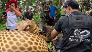 PATAY ANG PAMANGKIN NILA SA KAGAT NG COBRA /GRABE SA LAKI NG COBRA