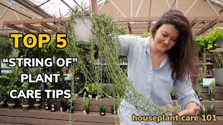 Top 5 String of Pearls \u0026 Hearts Plant Care Tips - Water, Repot, Light, Fertilize Houseplant Care 101