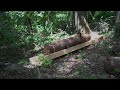 purchase a sawmill and make a chain saw sawing table enjoy forest development living in two bases