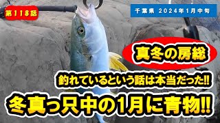 【千葉県 房総】1月なのに今青物が!!ライトショアジギングで来たー!!【ルアー釣り/ヒラマサ】