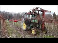 ny concord mechanical pruning