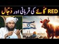 Laal Gaye in Israel Vs Palestine 😥 | DAJJAL Vs ESA Maseeh علیہ السلام| Engineer Muhammad Ali Mirza