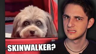Exploring Terrifying Skinwalker Sightings.