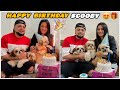 Happy Birthday Scooby 🐶❤️ Scooby Ne Kiti Party Apne Dosta Nu🤣😂 || Ankush Thakur ||