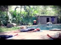 mandala flow yoga class live in costa rica five parks yoga