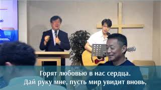 [Live] Rodnik Church in Korea 2024.07.28