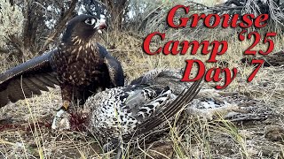 Grouse Camp 2025, Day 7 (October 12, 2025)