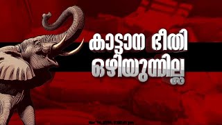 301 കോളനിയിൽ ചക്കക്കൊമ്പൻ വീട് തകർത്തു;അടുക്കളയിൽ കയറി അരിയും ഗോതമ്പും ഭക്ഷിച്ചു