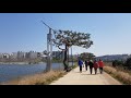 4k 수원 산책 서호공원 2부 seoho park part2 s.korea street walk Парк tour trip landscape 풍경 散歩