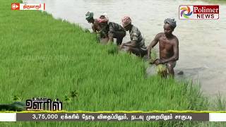 திருவாரூர் மாவட்டத்தில் சம்பா சாகுபடி பணிகள் தீவிரம்