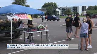 What You Need To Be A Roadside Vendor