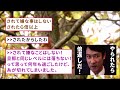 【爆笑】不倫のきっかけについて経験者達がリアルに語るｗ【ガルちゃん】