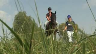 2017-08-05 - Lovastábor Temerinben