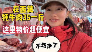 【正版小七的旅行第69集】一人一狗流浪西藏！發現一個小縣城，物價超低，環境比江南還舒服，來了就不想走！我和小米準備在這裡安家了！大家覺得怎麼樣？#房車自駕游 #救助流浪狗 #一个人的旅行 #床車旅行