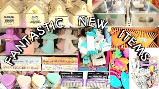 Come With Me To 4 Dollar Trees/ All New FANTASTIC Items/ Feb 14