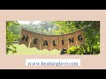 heal your physical health access consciousness clearing statements