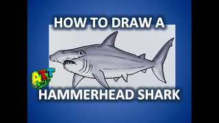 How to Draw a HAMMERHEAD SHARK
