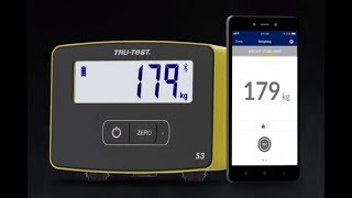 S3 Weigh Scale Indicator Features