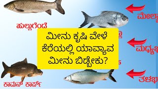 ಮೀನು ಕೃಷಿ ವೇಳೆ ಯಾವ್ಯಾವ ಮೀನು ಬಿಡಬೇಕು? |  ವಿಶೇಷತೆ | ಮೀನು ಮರಿಯ ಬೆಲೆ | Infomation about fish farming