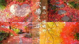 【京都】嵐山・嵯峨野エリアの紅葉の穴場スポット３選｜直指庵｜鹿王院｜