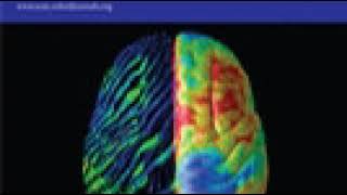 Social Cognitive and Affective Neuroscience | Wikipedia audio article