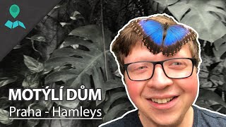 MOTÝLÍ DŮM v PRAŽSKÉM HAMLEYS | Papilonia