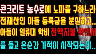 [반전 실화사연] 콘크리트 농수로에 노파를 구하느라 전재산인 아들 등록금을 분실하고 아들이 일류대 학비 전액지불 확인서를 들고 온순간 기적이 시작되는데/신청사연/사연낭독/라디오