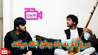 مرغ دلم به یاد وطن ناله میکند - حاجی فیاض