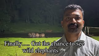 Come to Anakulam to see wild elephants .