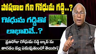 గోధుమ గడ్డి ఉపయోగాలు | Wheat Grass Benefits | Dr.CL Venkata Rao | Healthcare