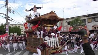 令和元年9月29日八田荘東地区地車試験曳き